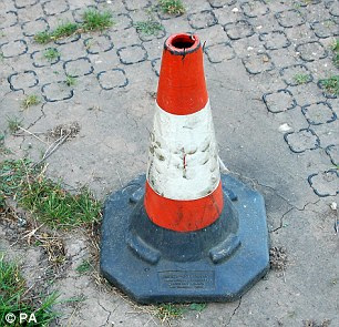005.jpg