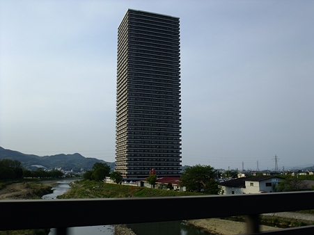 21117441.jpg